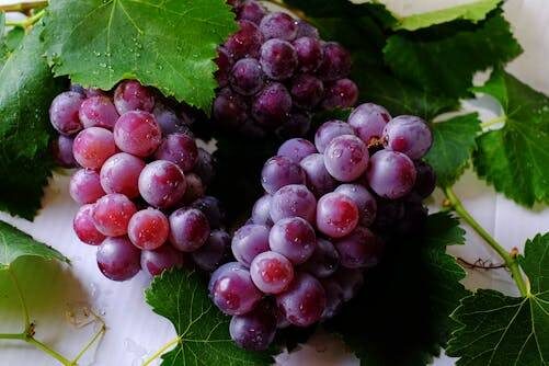 Advantage Of Grapes || 9 Amazing Benefits of Grapes