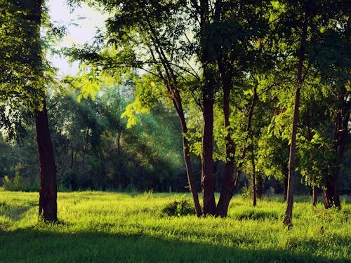 6 Morning Meditation Secrets for a Stress-Free and Focused Day